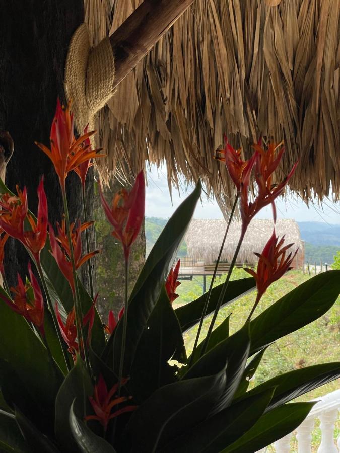 La Manola Finca Hotel Doradal Eksteriør billede