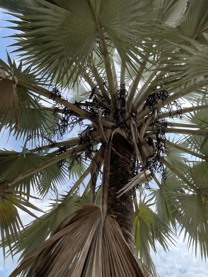 La Manola Finca Hotel Doradal Eksteriør billede